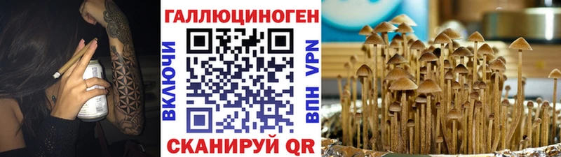 Галлюциногенные грибы ЛСД  Липки 
