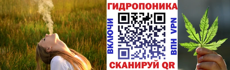 Конопля планчик  цены   Липки 
